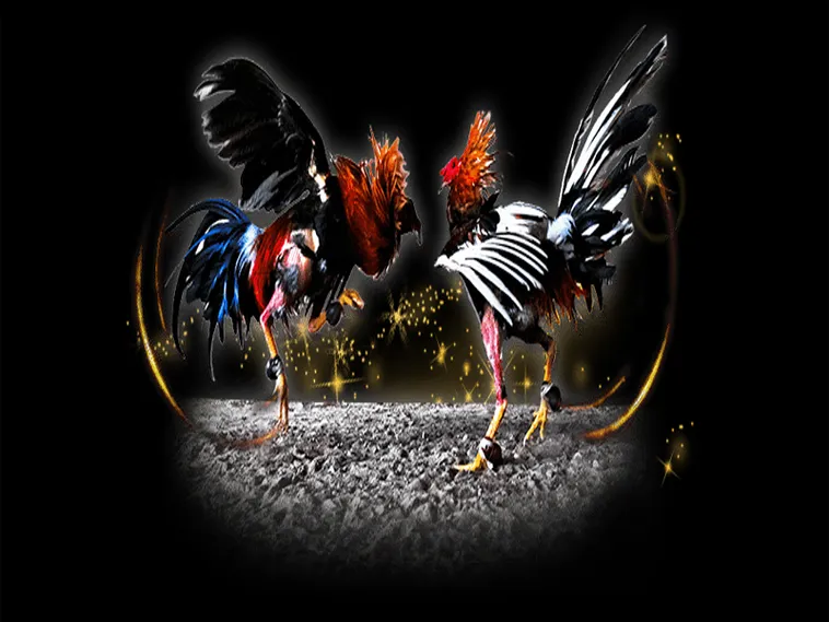 Bật Mí Bí Kíp Cách Chơi Đá Gà Sabong Tại 138Bet Siêu Chuẩn