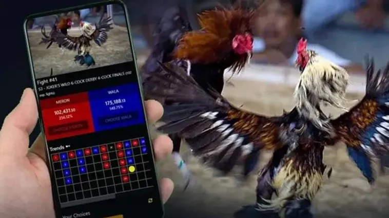 Trải Nghiệm Sảnh Cược Đá Gà 138Bet Đẳng Cấp Số Một Châu Á